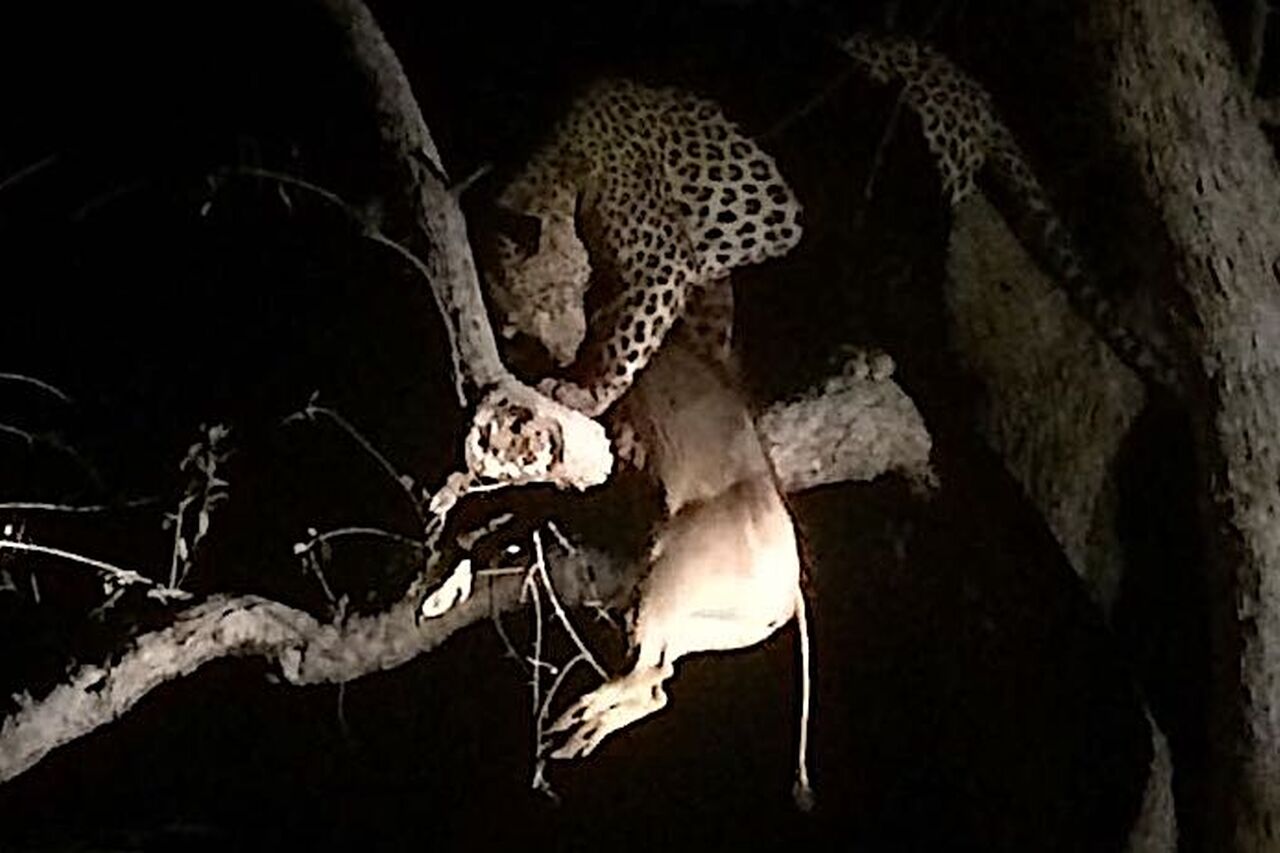 2017 10 19 PHOTO 00001693