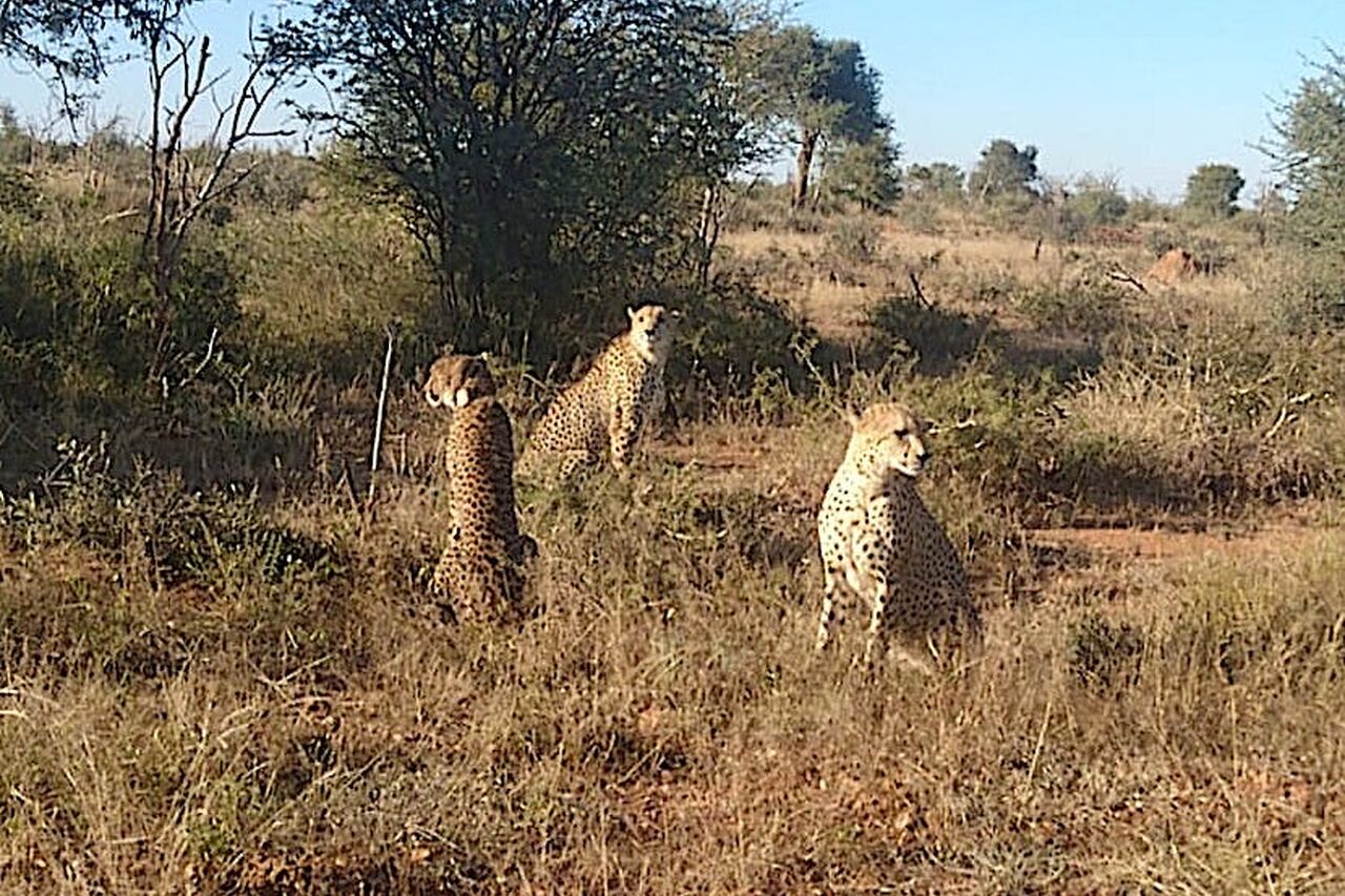 2018 06 08 11 32 10 2