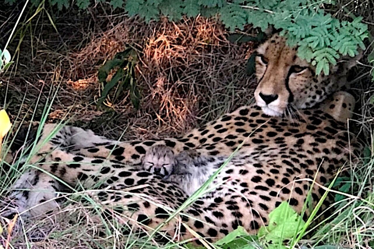 PHOTO 2020 02 29 15 30 33