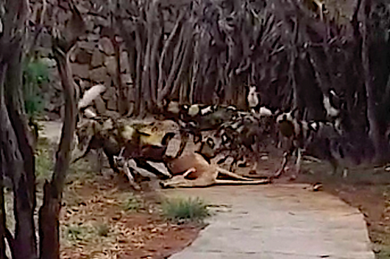 Screen Shot 2017 10 28 at 9 20 00 PM