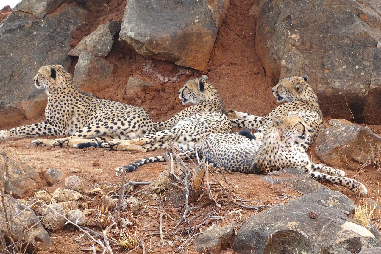 2014 10 10 12 15 33 1