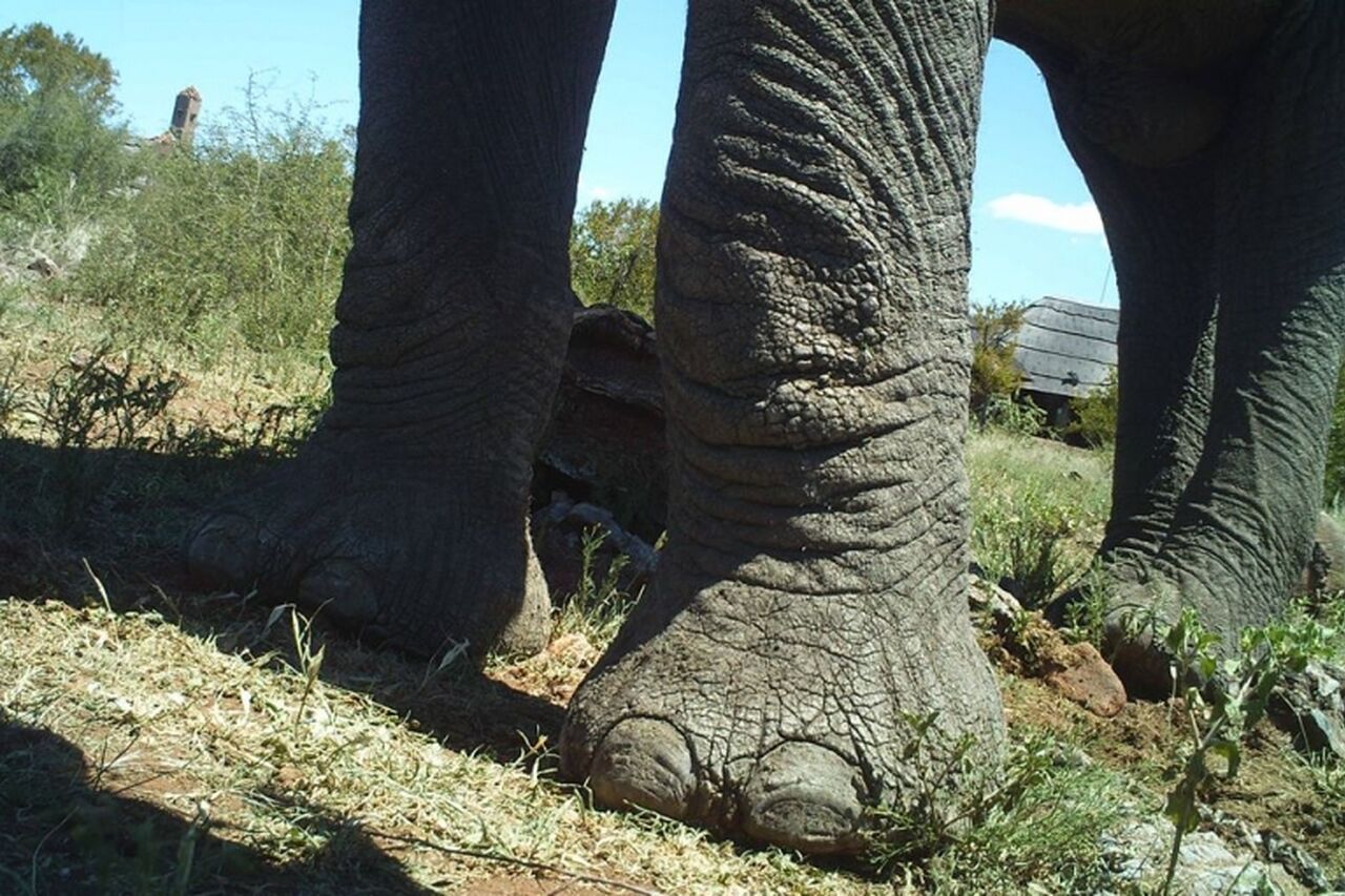 10460395 624708467674938 3555461913250073283 n 767 511 s c1