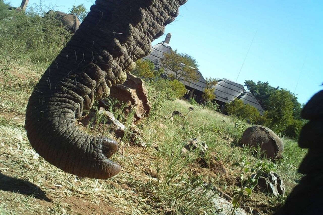 10998878 624708471008271 2353577498590245869 n 767 511 s c1