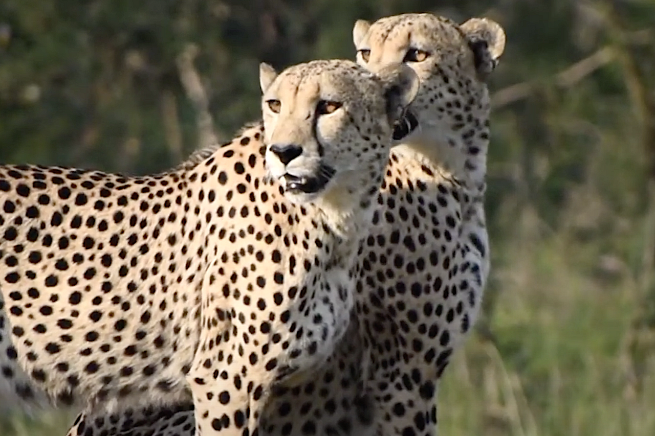 Screenshot 2023 12 24 at 16 30 11