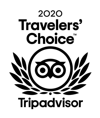 2020 Traveler's Choice Award