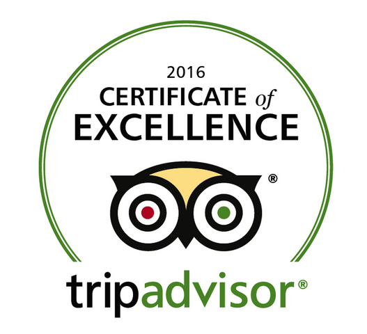 2016 Certificate of Excellence