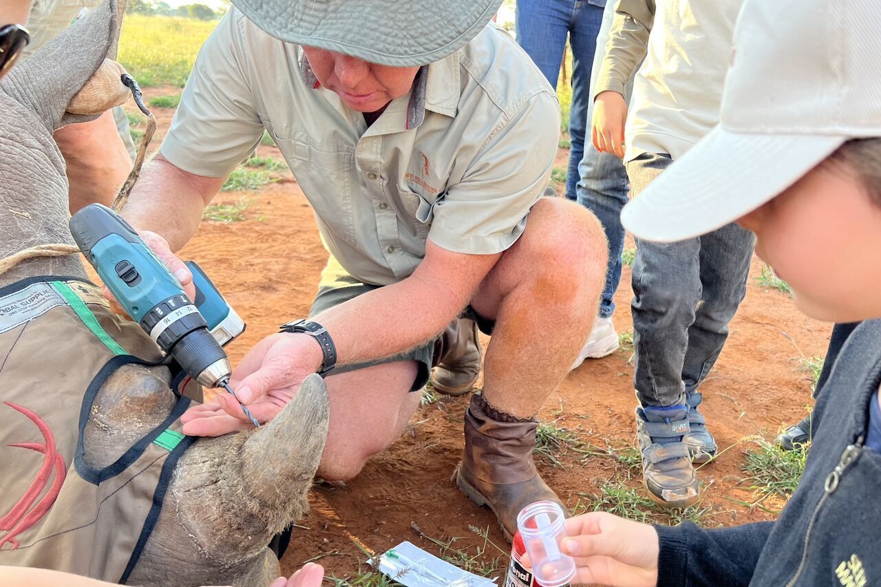 2022 04 27 16 17 02 8b4d6721ce7a5a4052f3c07d20423959