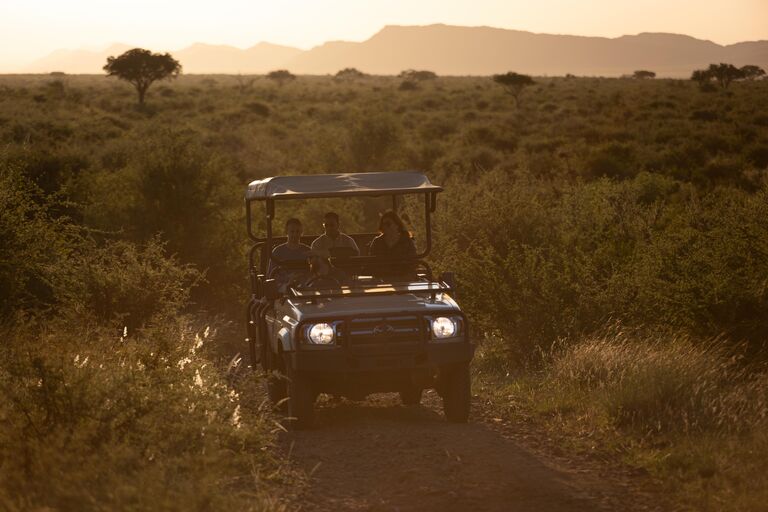 Private Game Drives