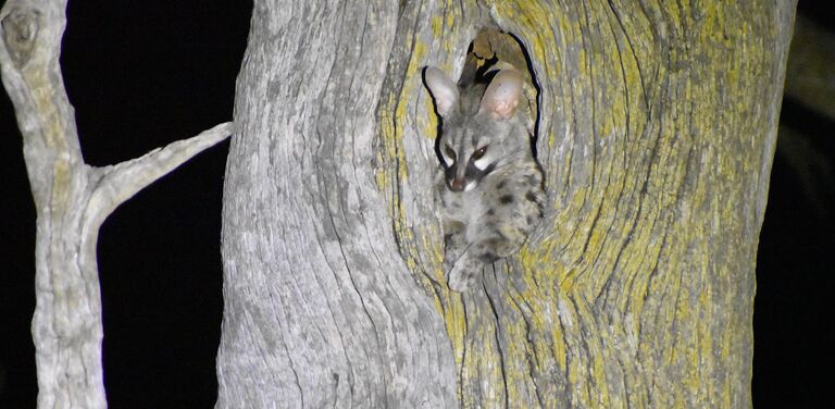 2022 12 01 18 39 43 p