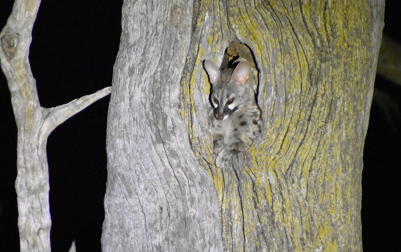 2022 12 01 18 39 43 p