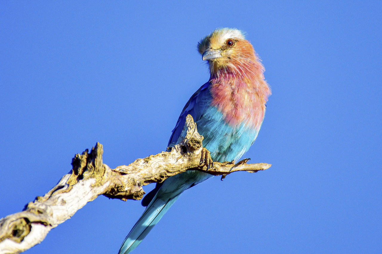 Screenshot 2024 08 28 at 16 36 50