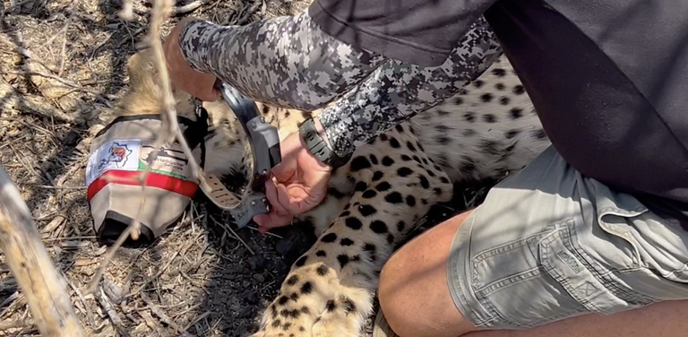 Screenshot 2024 10 15 at 07 03 19