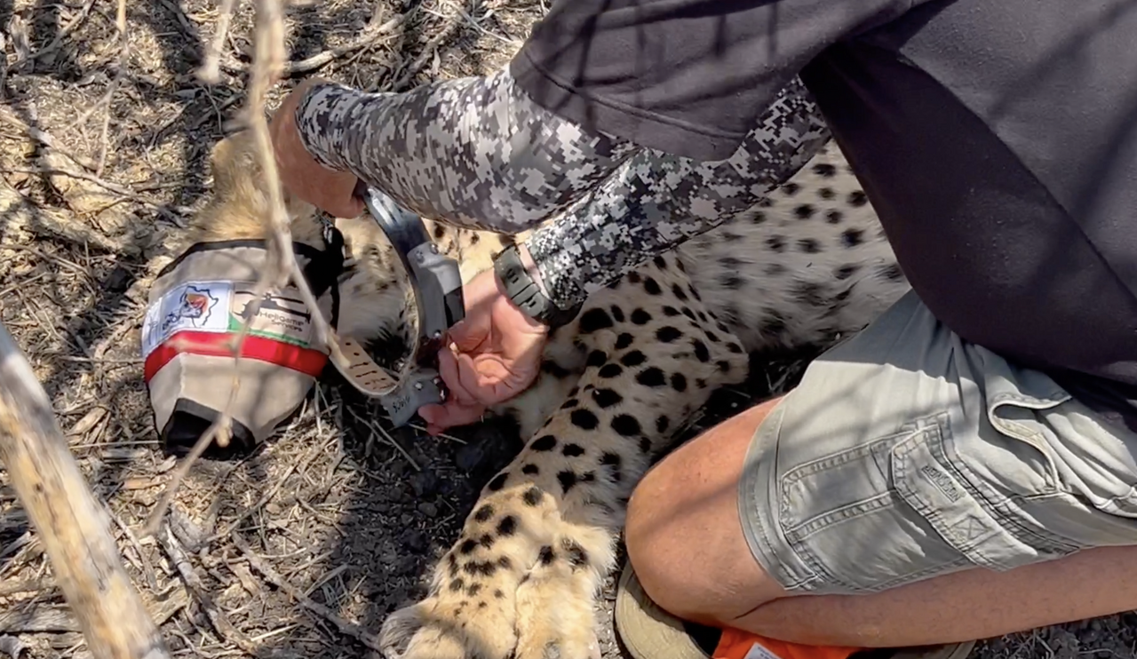 Screenshot 2024 10 15 at 07 03 19