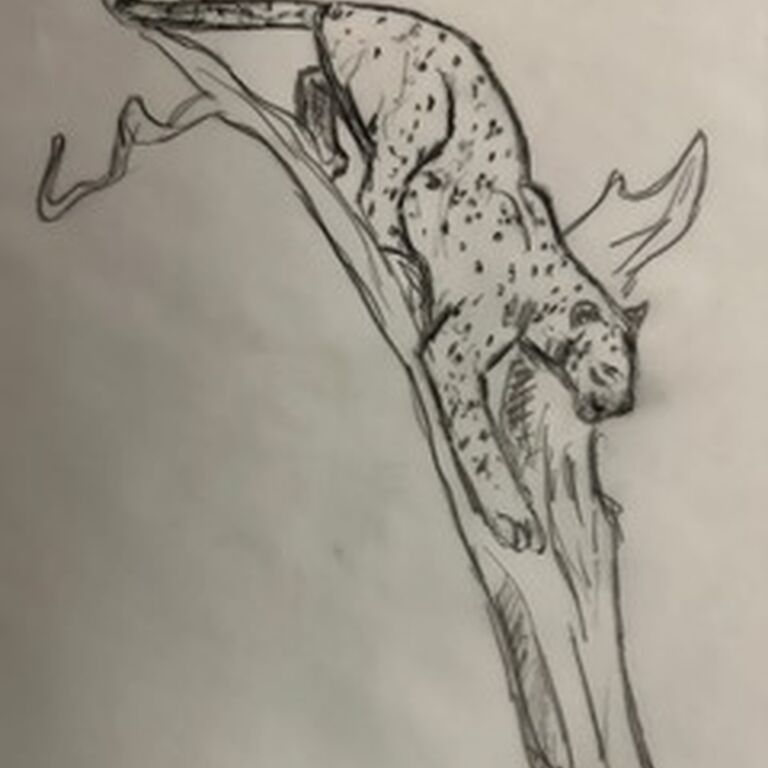 20240228 PHOTO 2024 02 21 20 40 25