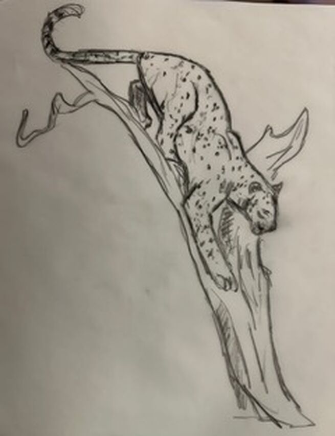 20240228 PHOTO 2024 02 21 20 40 25