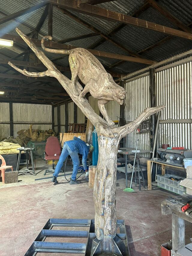 20240628 Leopard Standing