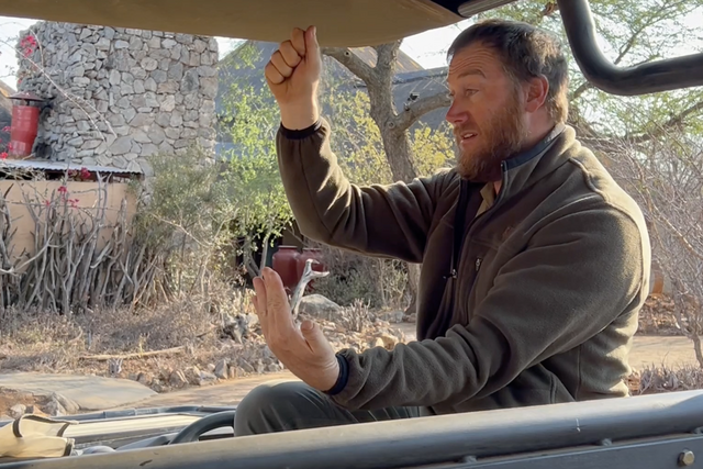 Life of a Ranger: Cheetah conservation