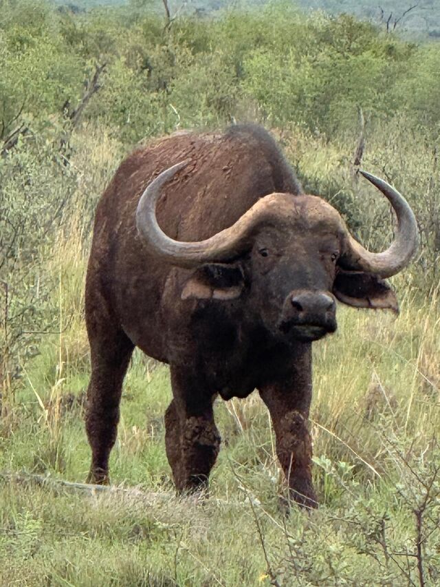 B15c3167 b17c 4bcf aa0c de08e0fc797a