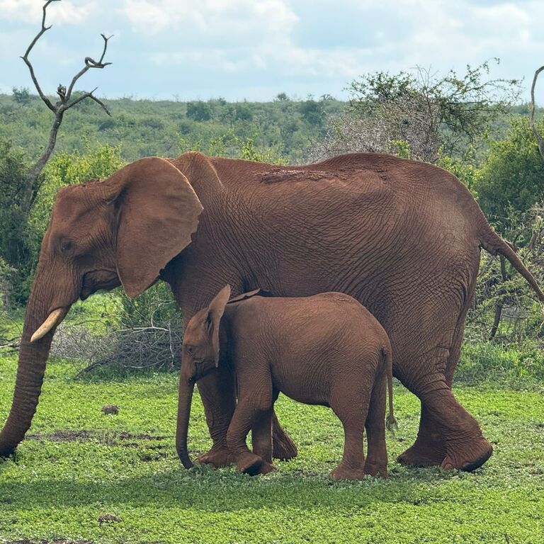 Cd027b1f e437 41d0 aea0 d654f5e3a6b0