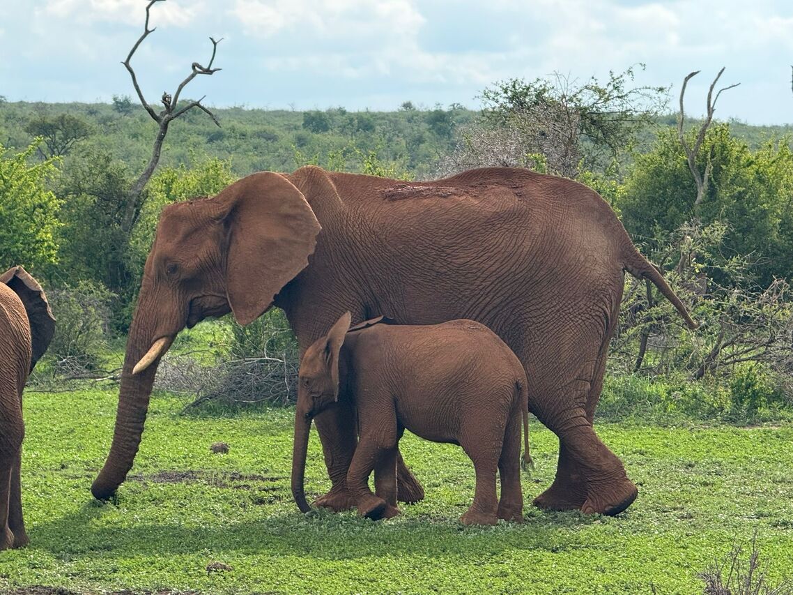 Cd027b1f e437 41d0 aea0 d654f5e3a6b0