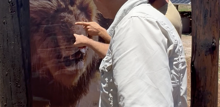 Screenshot 2025 01 22 at 13 32 42