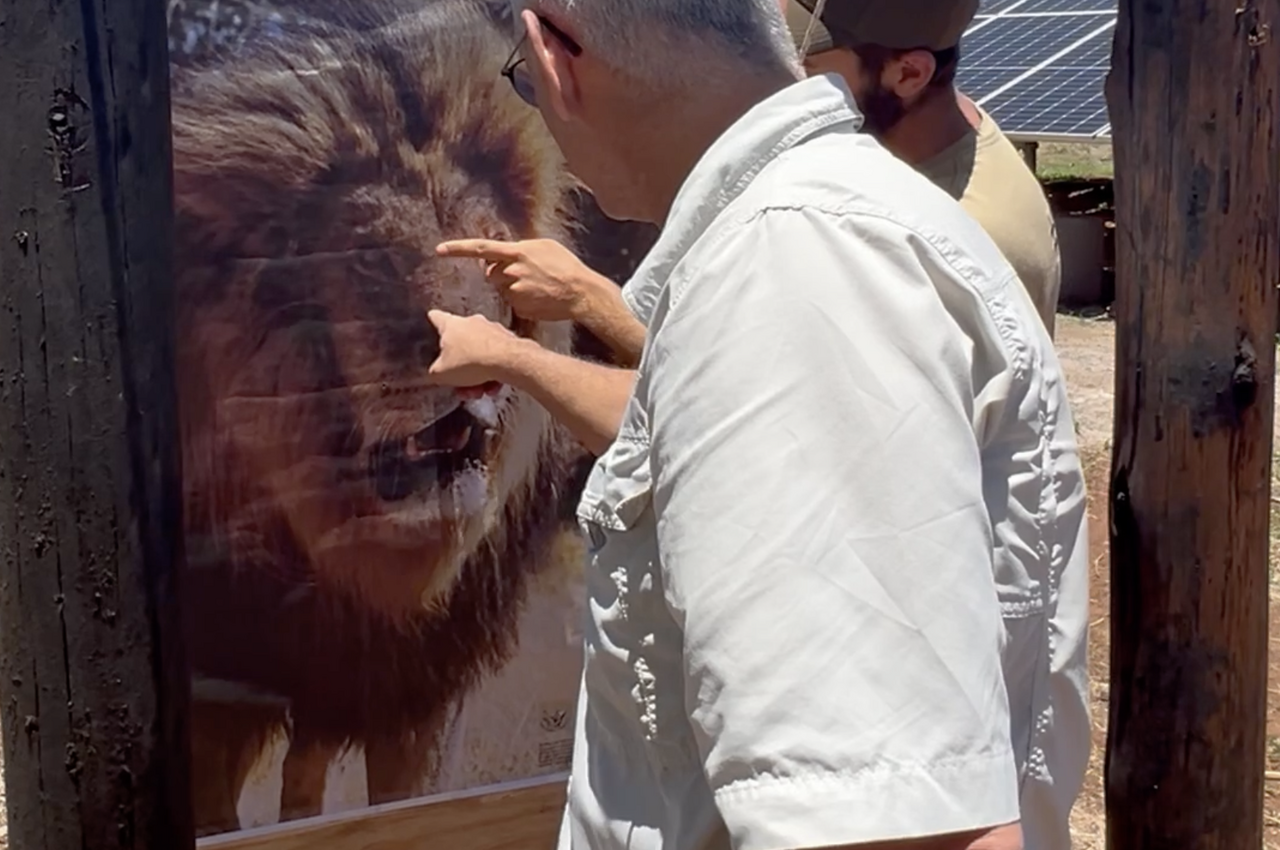 Screenshot 2025 01 22 at 13 32 42