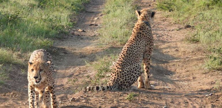 PHOTO 2025 03 06 18 24 48