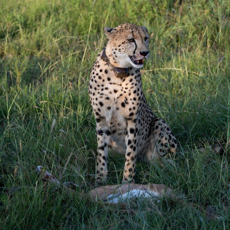 PHOTO 2025 03 08 09 28 08 2