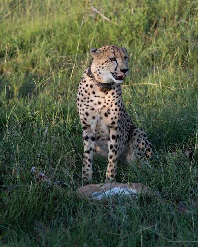 PHOTO 2025 03 08 09 28 08 2