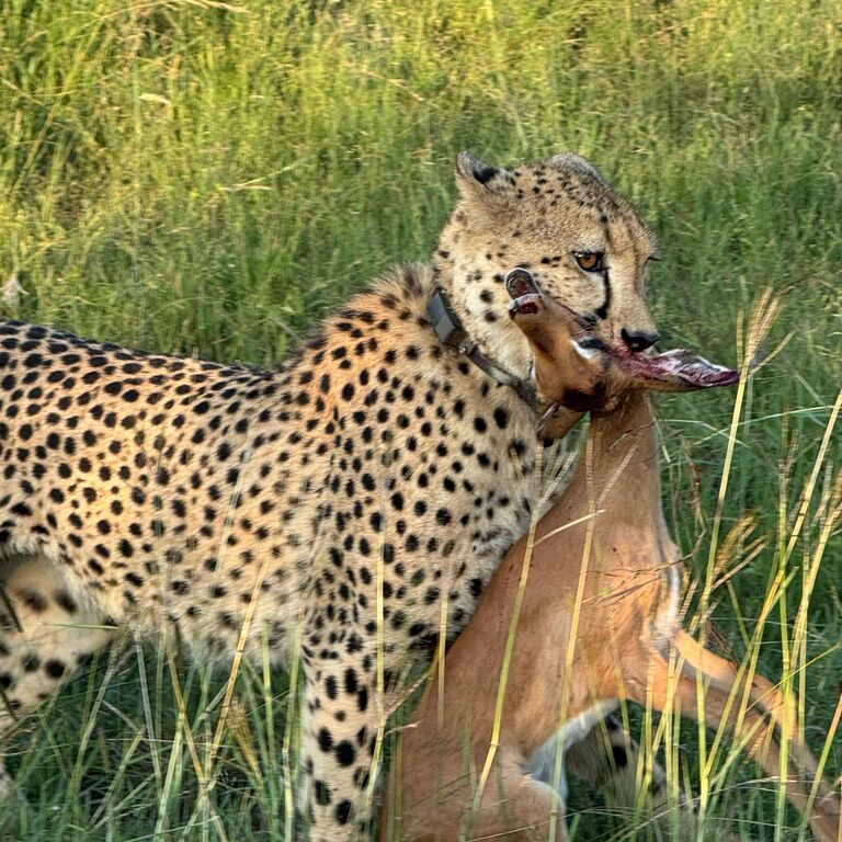 PHOTO 2025 03 08 09 28 08 3