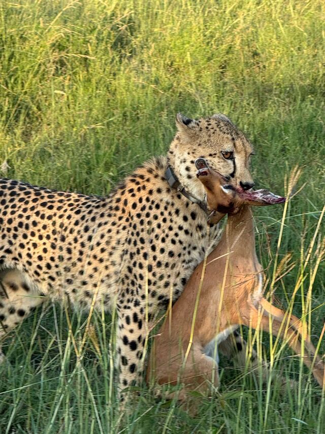 PHOTO 2025 03 08 09 28 08 3