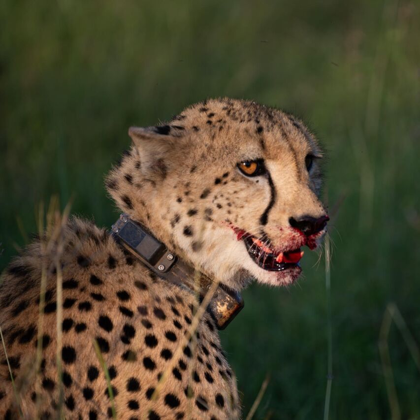 PHOTO 2025 03 08 09 28 08