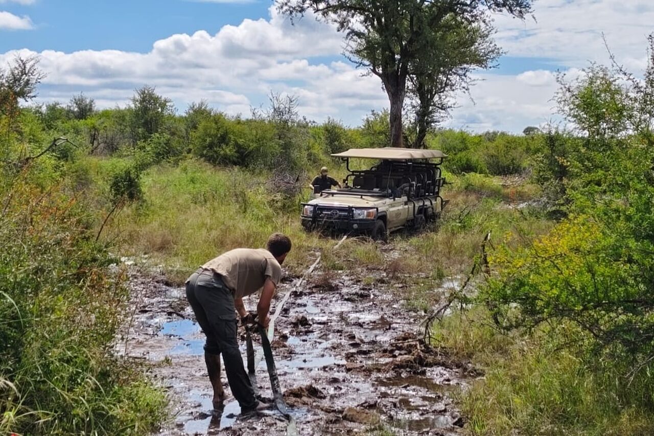 PHOTO 2025 03 18 11 55 47