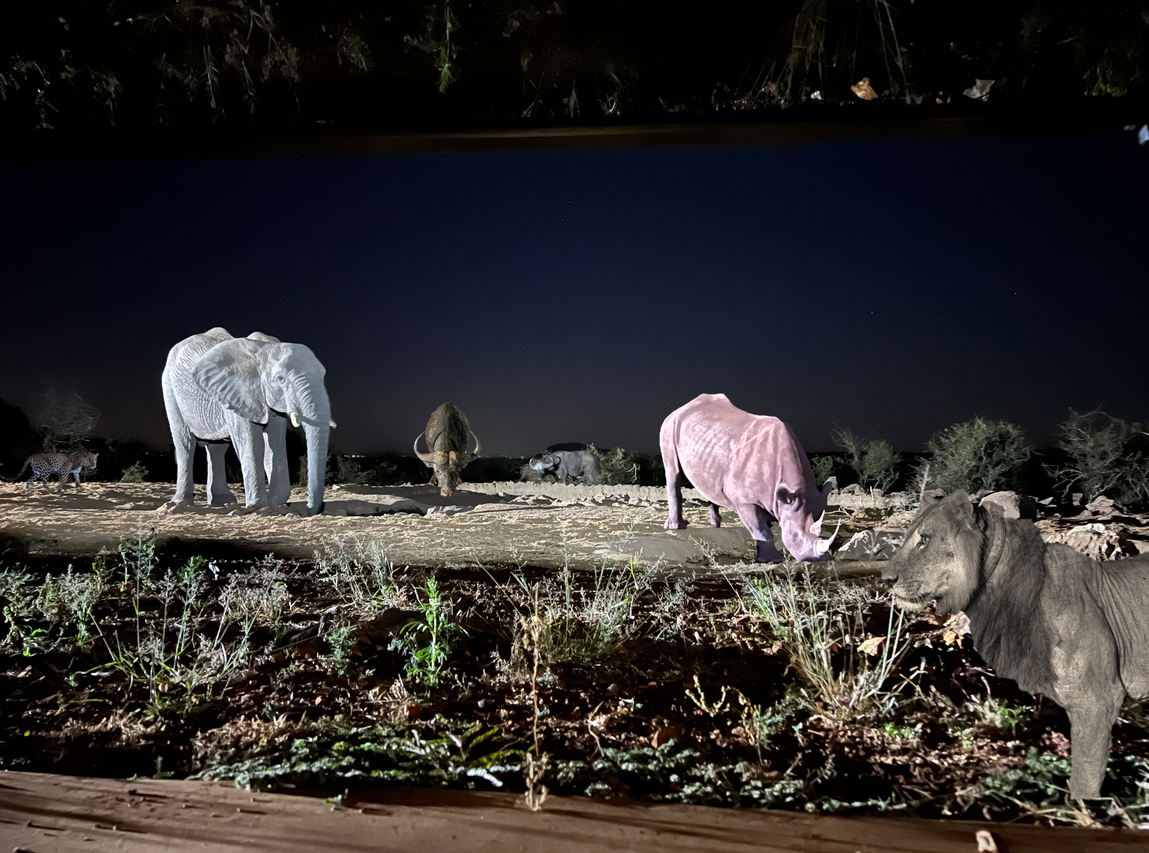 Screenshot 2025 03 31 at 15 34 20