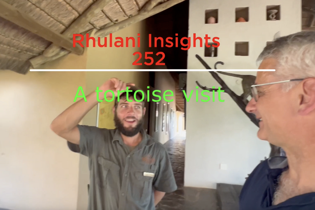 Rhulani Insights 252 – A tortoise visit