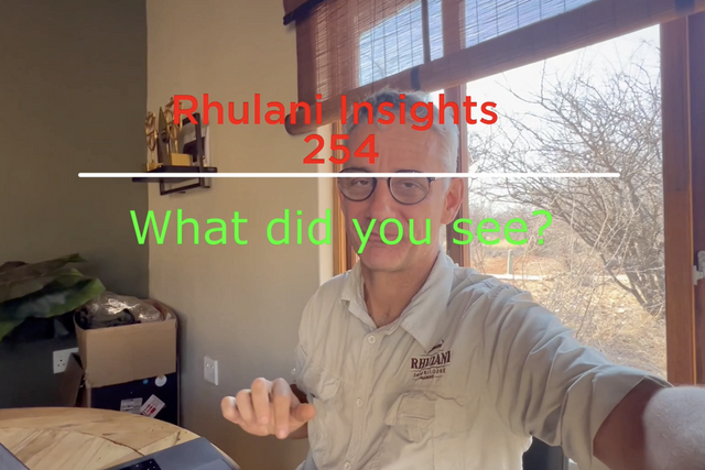 Rhulani Insights 254 – What did you see?