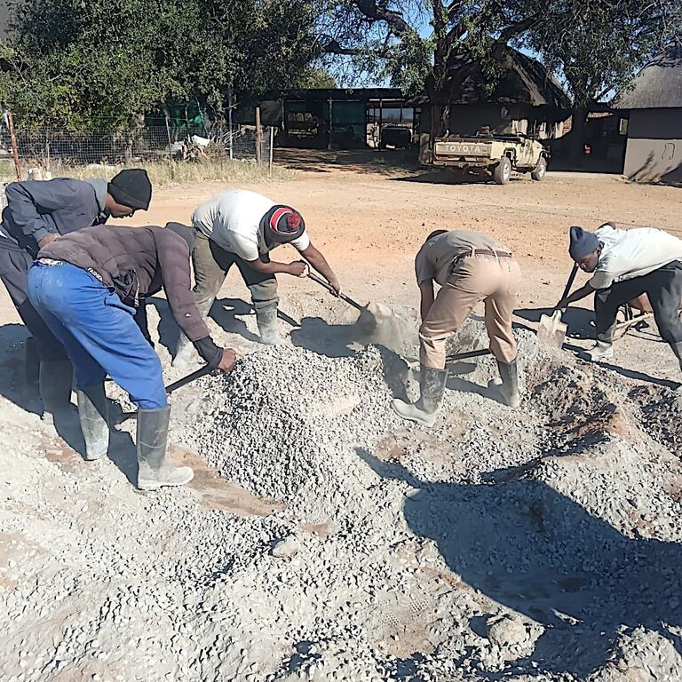 PHOTO 2025 06 26 09 15 23 2