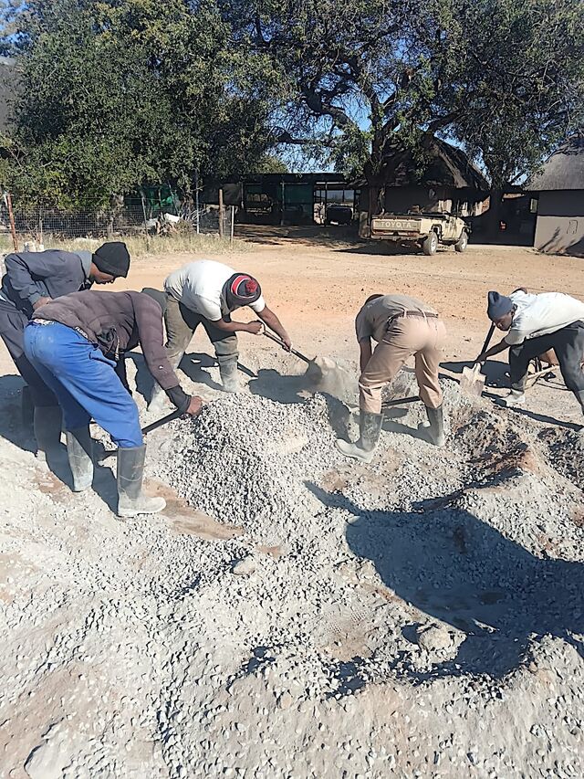 PHOTO 2025 06 26 09 15 23 2