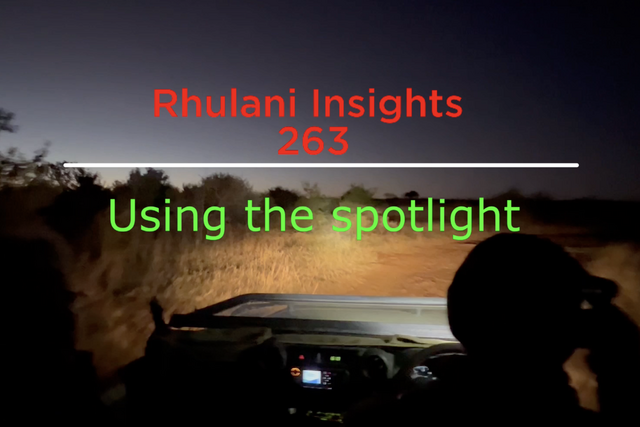 Rhulani Insights 263 – Using the spotlight
