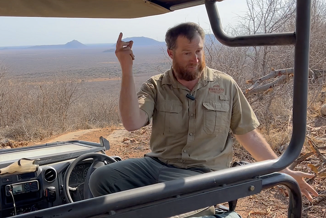 Life of a Ranger: The lion takes the shady spot