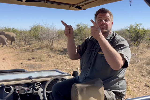 Life of a Ranger: A mob of banded mongooses on the road