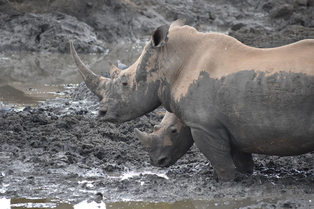 2024 10 10 16 23 42 p