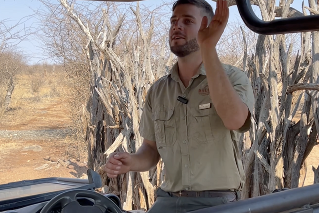 Life of a Ranger: Female common duiker