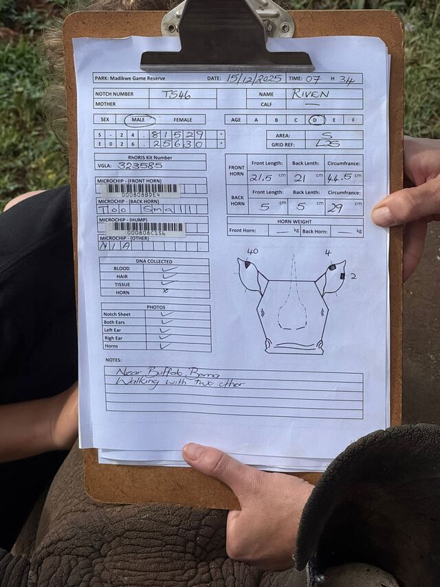 PHOTO 2025 12 16 15 06 43