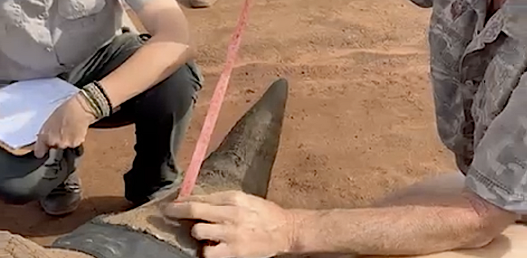 Screenshot 2025 12 17 at 08 22 55