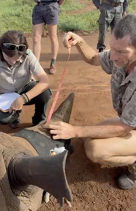 Screenshot 2025 12 17 at 08 22 55