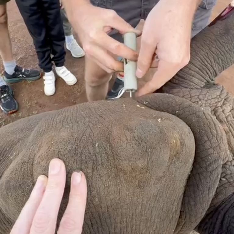 Screenshot 2025 12 17 at 08 23 08