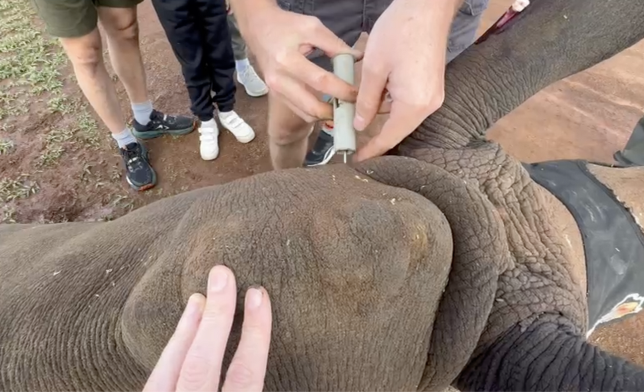 Screenshot 2025 12 17 at 08 23 08