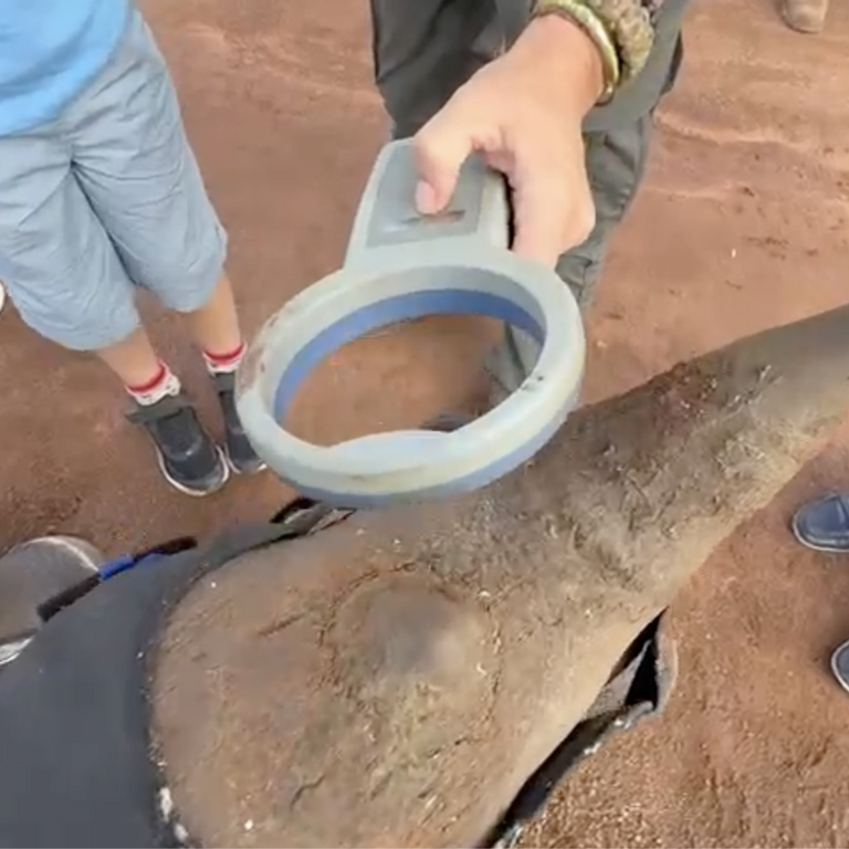 Screenshot 2025 12 17 at 08 23 24