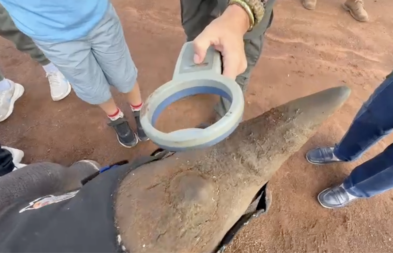 Screenshot 2025 12 17 at 08 23 24